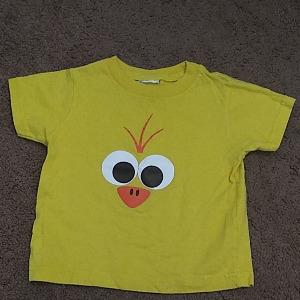 Easter chick shirt